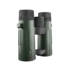 ODYSSEY 10x34